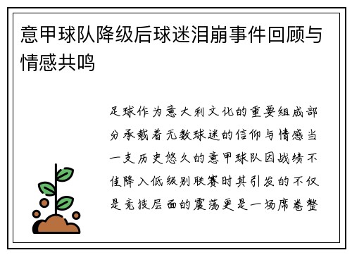 意甲球队降级后球迷泪崩事件回顾与情感共鸣